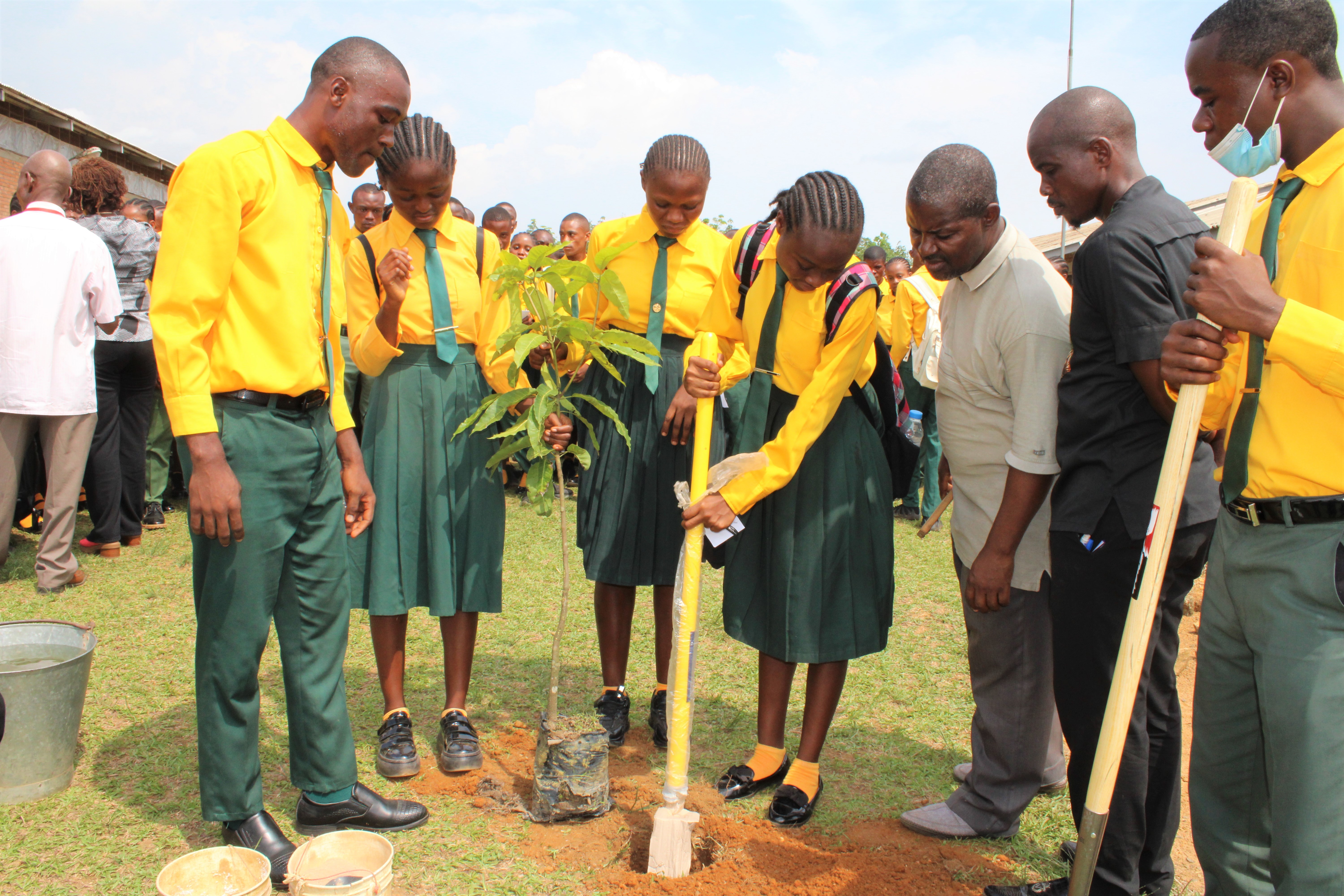 Firestone Liberia Highschool students planting a mango tree on school grounds Firestone Liberia Highschool students planting a mango tree on school grounds
