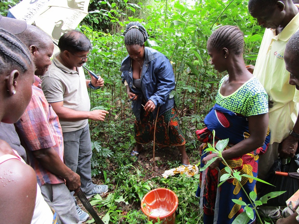 Rubber Farmers