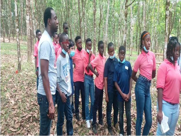 Students of the Heritage International Academy viewing a tapping demo at Firestone Liberia
