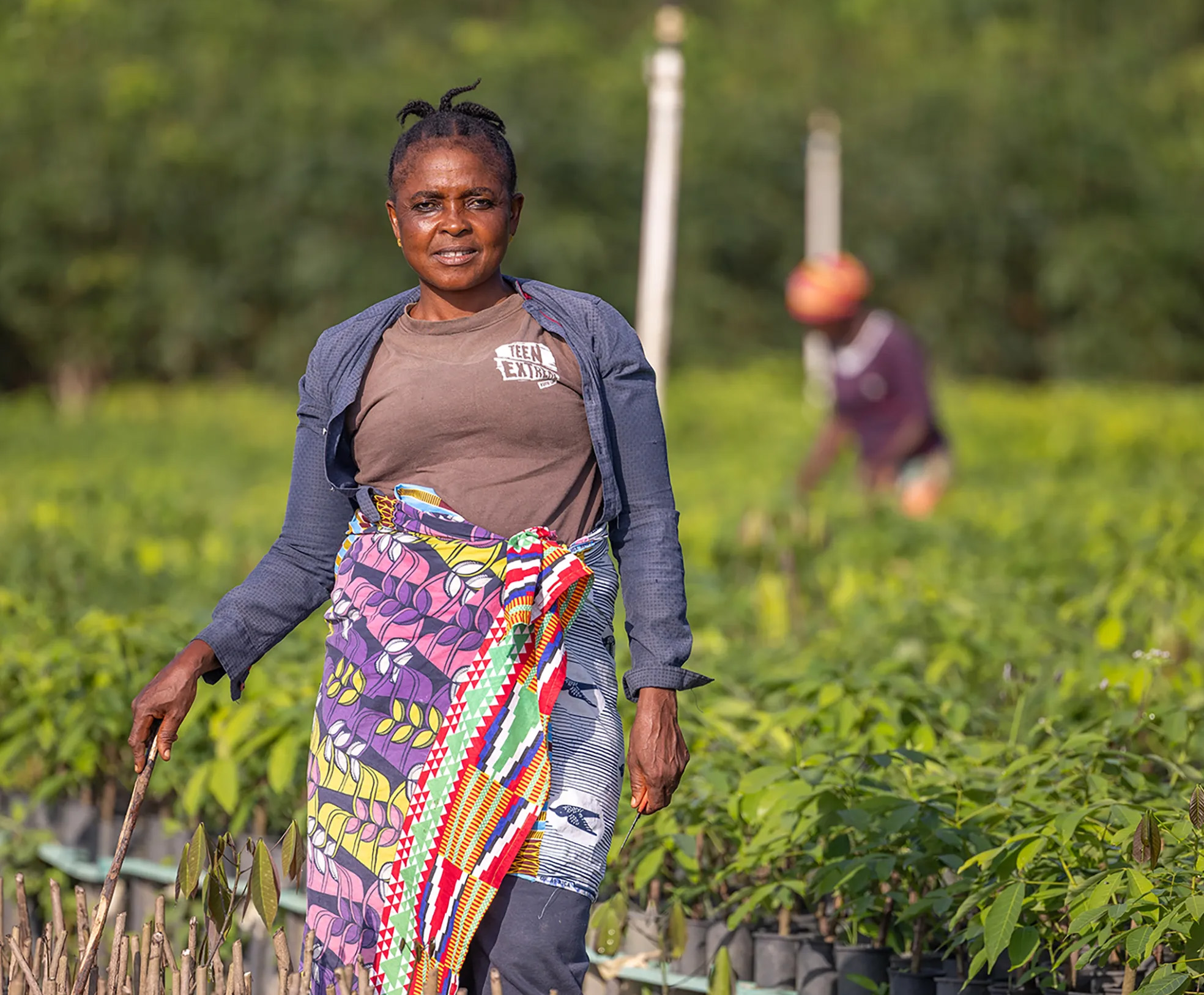 woman working in harvest